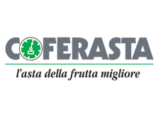 Coferasta